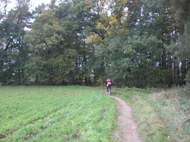 CTF Celle Strecke 005